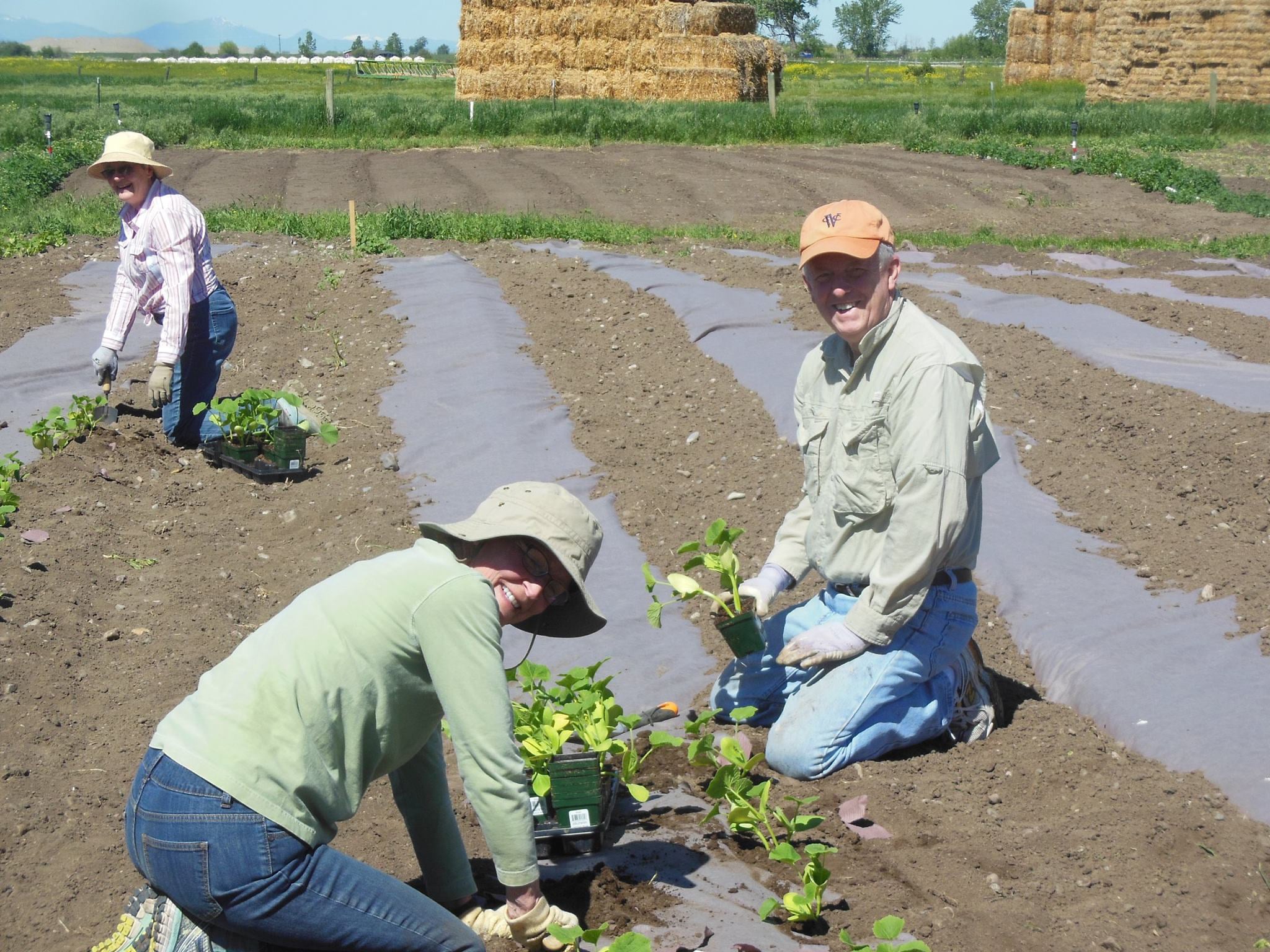 wayne-and-norma-gardening