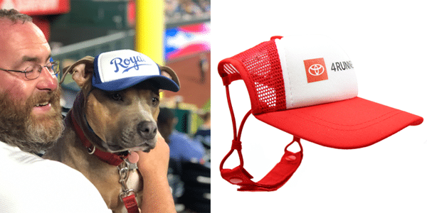 man with dog wearing PupLid dog hat next to Toyota-branded dog hat